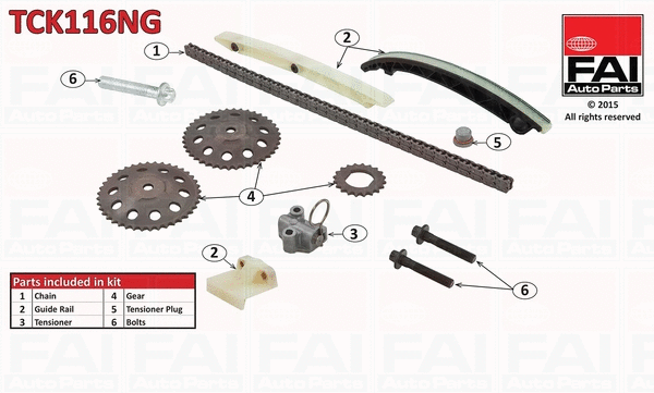 Pavaros grandinės komplektas FAI AutoParts TCK116NG