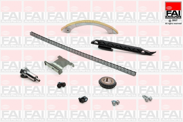 Pavaros grandinės komplektas FAI AutoParts TCK120NG