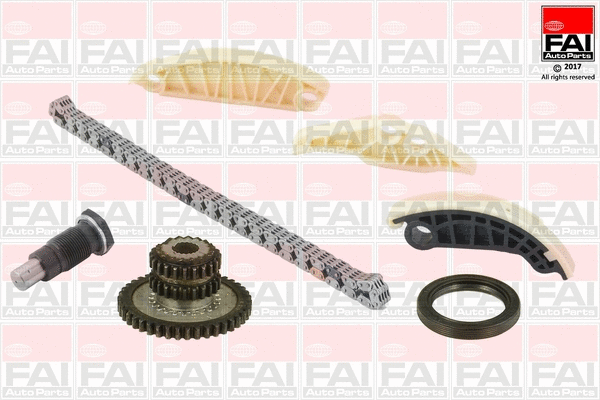 Pavaros grandinės komplektas FAI AutoParts TCK177