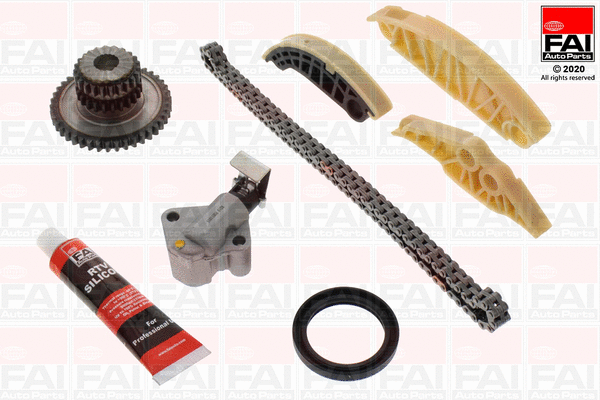 Pavaros grandinės komplektas FAI AutoParts TCK181