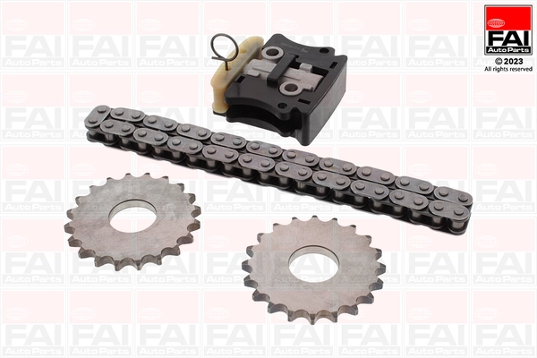 Pavaros grandinės komplektas FAI AutoParts TCK199NG