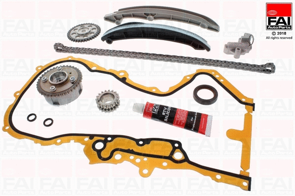 Pavaros grandinės komplektas FAI AutoParts TCK202L3VVT