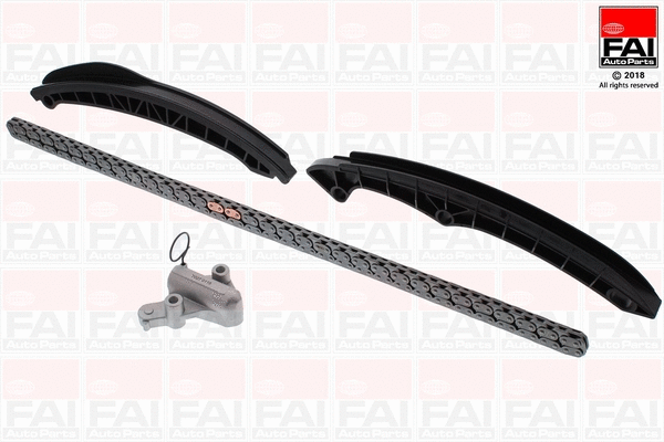 Pavaros grandinės komplektas FAI AutoParts TCK202NG