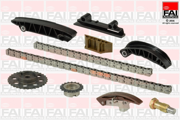 Pavaros grandinės komplektas FAI AutoParts TCK209NG