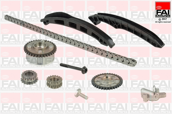 Pavaros grandinės komplektas FAI AutoParts TCK211VVTNG