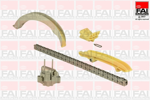 Pavaros grandinės komplektas FAI AutoParts TCK213NG