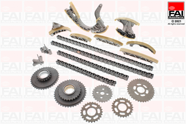 Pavaros grandinės komplektas FAI AutoParts TCK217NG