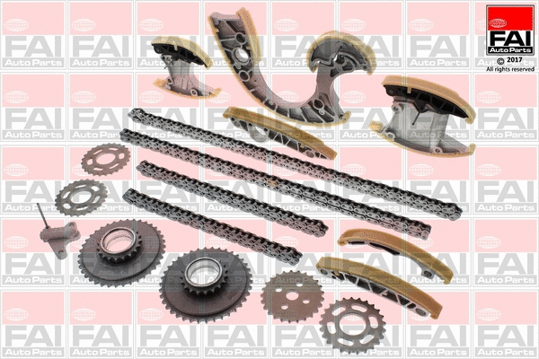 Pavaros grandinės komplektas FAI AutoParts TCK219NG