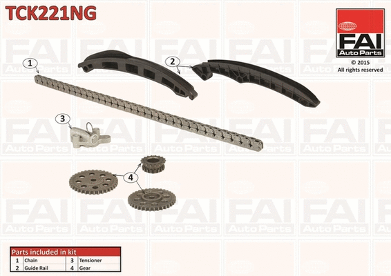 Pavaros grandinės komplektas FAI AutoParts TCK221NG