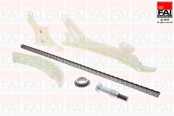 Pavaros grandinės komplektas FAI AutoParts TCK229NG