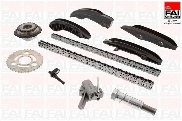 Pavaros grandinės komplektas FAI AutoParts TCK239NG