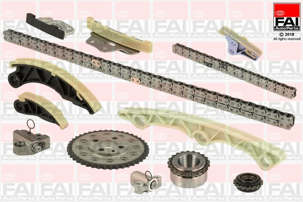 Pavaros grandinės komplektas FAI AutoParts TCK246NG