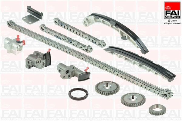 Pavaros grandinės komplektas FAI AutoParts TCK252L