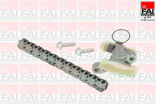Pavaros grandinės komplektas FAI AutoParts TCK262NG