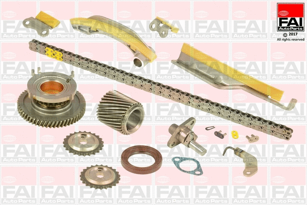 Pavaros grandinės komplektas FAI AutoParts TCK272NG