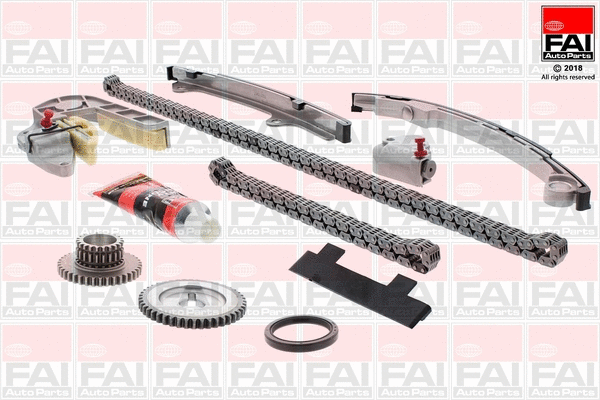 Pavaros grandinės komplektas FAI AutoParts TCK31