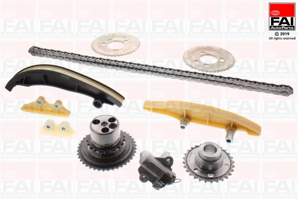 Pavaros grandinės komplektas FAI AutoParts TCK316NG