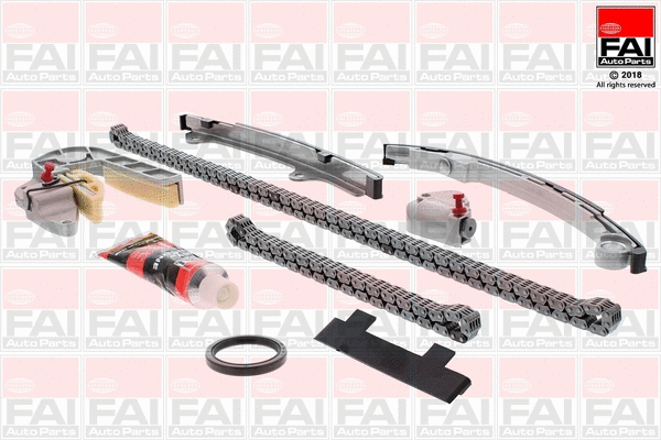 Pavaros grandinės komplektas FAI AutoParts TCK31WO