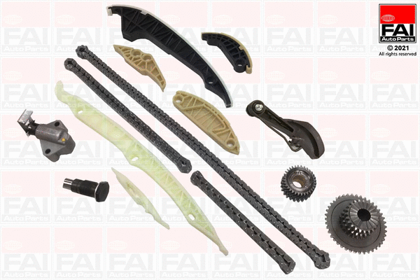 Pavaros grandinės komplektas FAI AutoParts TCK342NG