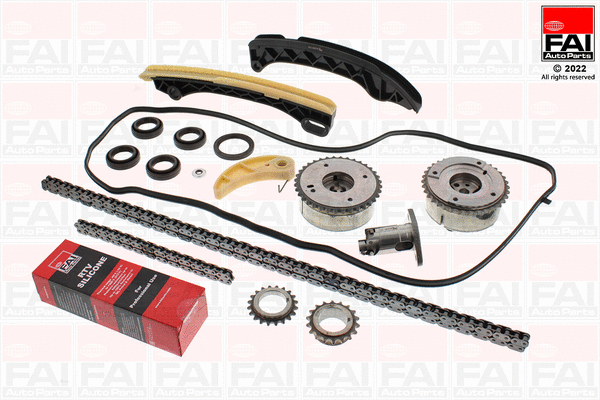 Pavaros grandinės komplektas FAI AutoParts TCK389VVT