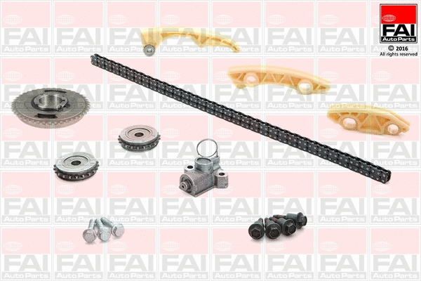 Pavaros grandinės komplektas FAI AutoParts TCK3A