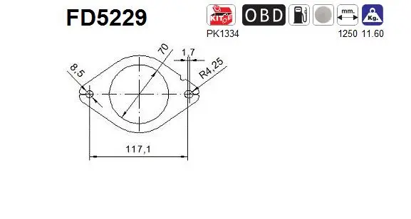Išmetimo sistemos filtras AS FD5229