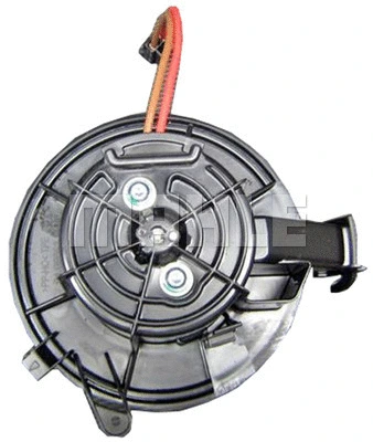 Vidaus putiklis MAHLE AB 146 000P