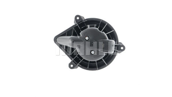 Vidaus putiklis MAHLE AB 234 000S