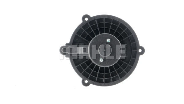 Vidaus putiklis MAHLE AB 236 000S