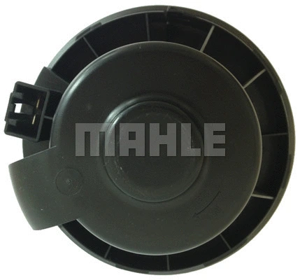 Vidaus putiklis MAHLE AB 241 000P