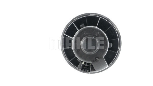Vidaus putiklis MAHLE AB 247 000P