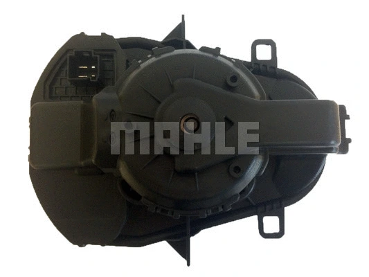 Vidaus putiklis MAHLE AB 258 000S