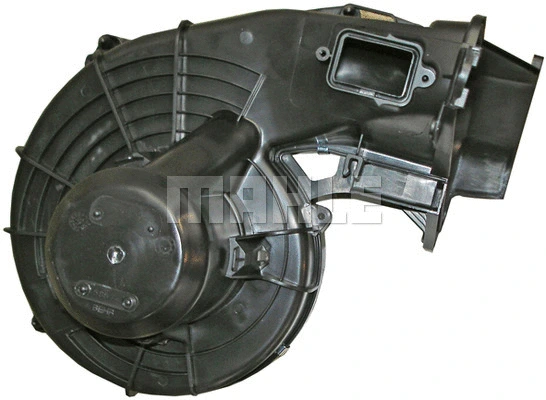 Vidaus putiklis MAHLE AB 29 000P