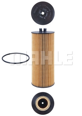 Alyvos filtras MAHLE OX 174D