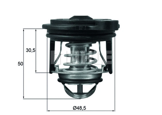 Termostatas MAHLE TI 246 50