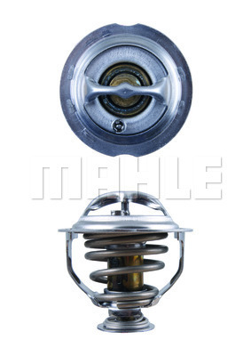 Termostatas MAHLE TX 123 95D