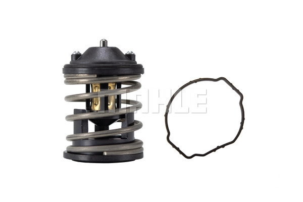 Termostatas MAHLE TX 163 87D