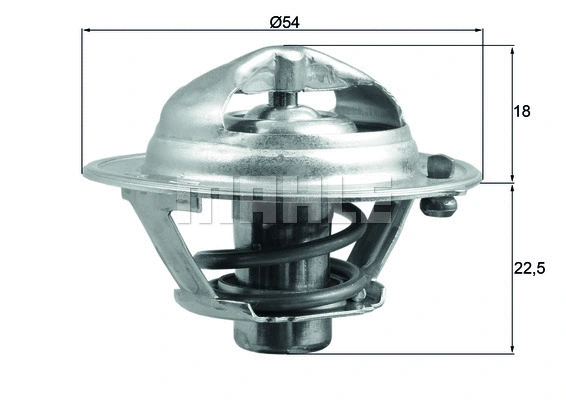 Termostatas MAHLE TX 166 90D