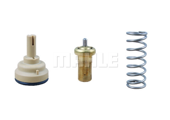 Termostatas MAHLE TX 181 95D