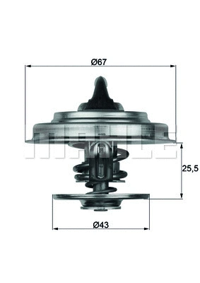 Termostatas MAHLE TX 18 75D