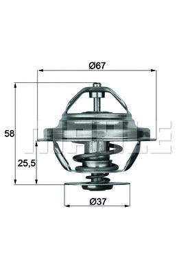 Termostatas MAHLE TX 20 80D