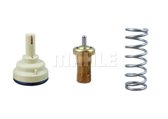 Termostatas MAHLE TX 209 80D