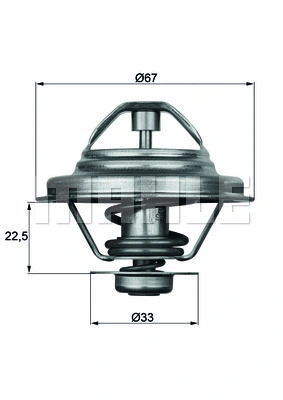 Termostatas MAHLE TX 24 80D