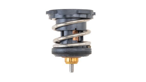 Termostatas MAHLE TX 252 87