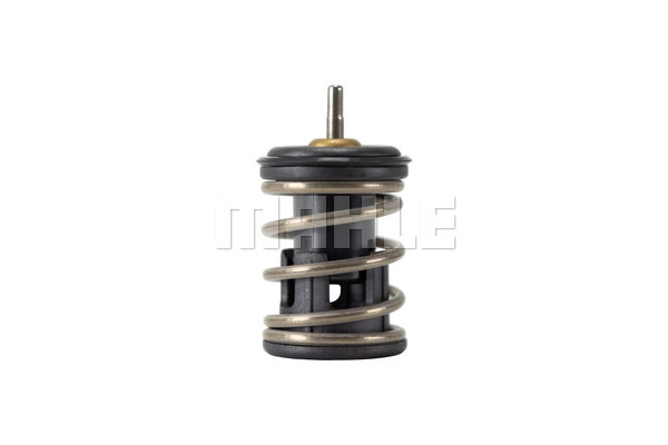 Termostatas MAHLE TX 253 105D