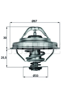 Termostatas MAHLE TX 28 88D