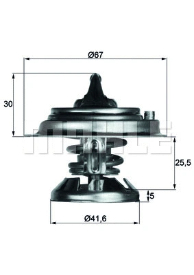 Termostatas MAHLE TX 29 80D