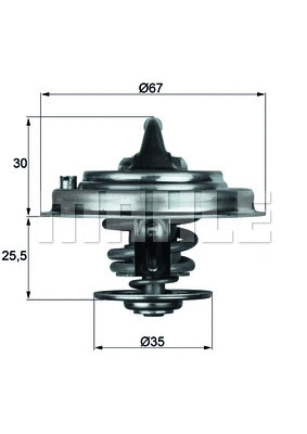Termostatas MAHLE TX 30 92D