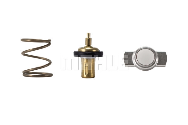 Termostatas MAHLE TX 328 83D