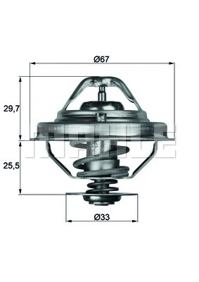 Termostatas MAHLE TX 38 80D